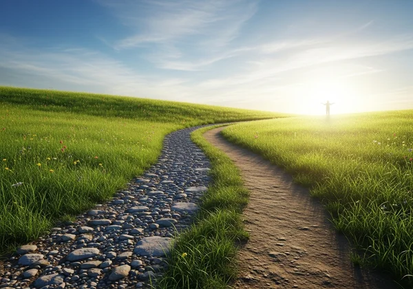 Symbolic image of a path leading to healing and mental wellness.